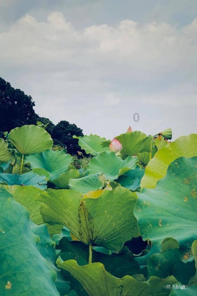 如果算命的说你有血光之灾你会想信他说的吗游戏画面