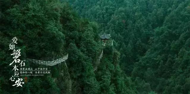 医院准许导盲犬探望生病主人，你如何评价这种做法？游戏画面