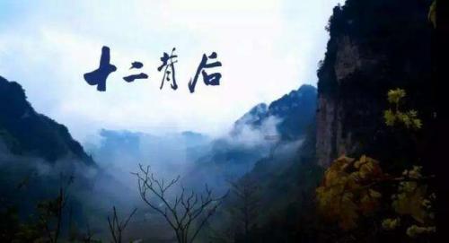 过年聚会喝啥酒？这10款好喝不贵的白酒让你畅饮无忧！
