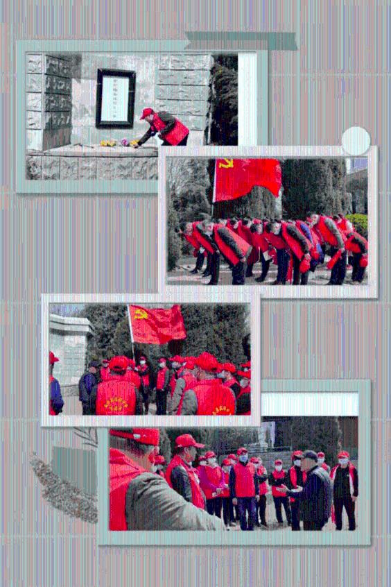 “国保”蕨挖不得！三人涉嫌危害国家重点保护植物罪被判刑，看看