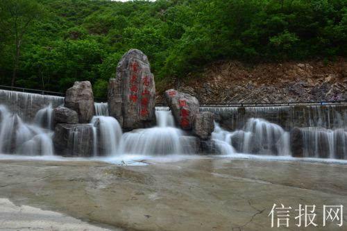 什么花一年四季都开花？游戏画面