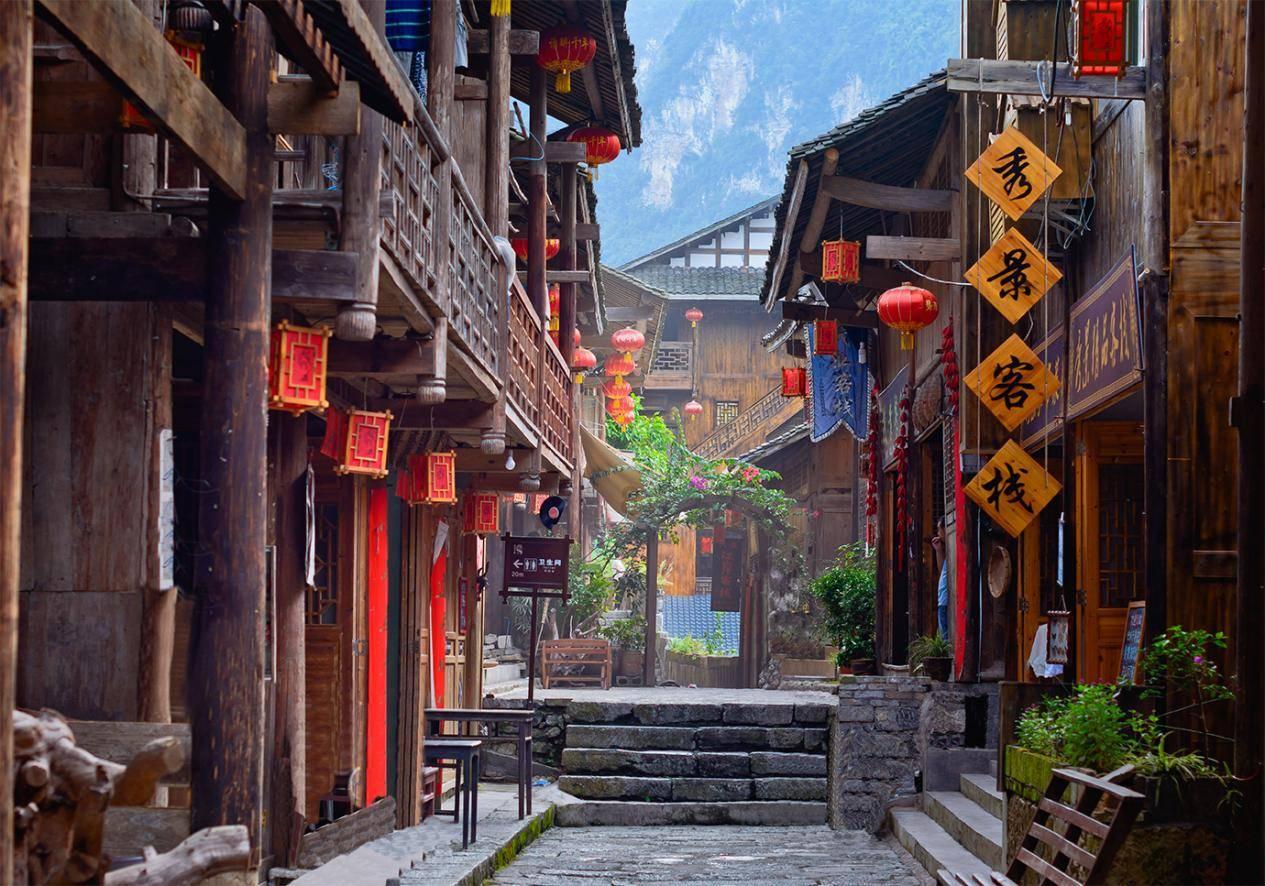 丛林森林逃生